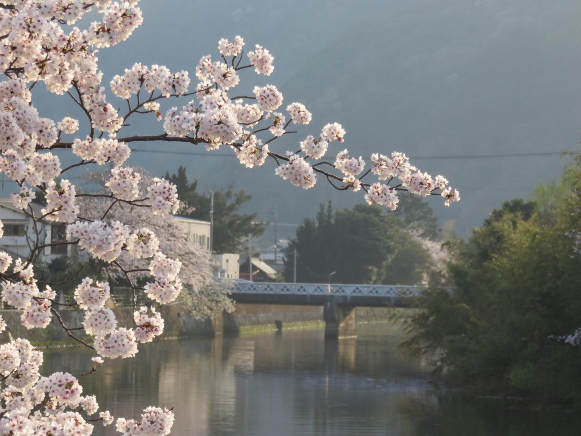 御宿 in Im Matsuzaki  Exterior foto